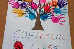 CP-B