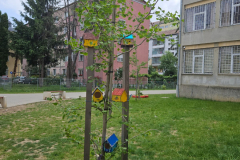 Caravana-reciclarii-creative-9